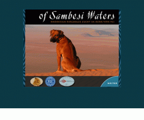 sambesiwaters.de: Rhodesian Ridgeback Kennel of Sambesi Waters (VDH/FCI)
