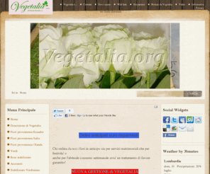 vegetalia.org: Benvenuto in Vegetalia
vecchia gestione ha mantenuto dominio vegetalia.biz si creando una notevole confusione non siamo il numeroverde.biz o il numeroverde.com