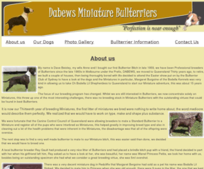 dabewsminiaturebullterriers.com: Welcome to Dabews Miniature Bullterriers
