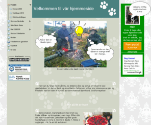 kennel-falletbakken.com: Forside - www.kennel-falletbakken.com
Forside - www.kennel-falletbakken.com