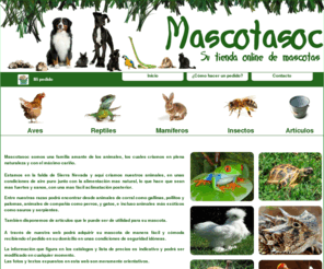 mascotasoc.com: Mascotasoc. Venta de gallinas ponedoras y de raza, aves, mamíferos, insectos, reptiles. Envío a domicilio.
Mascotasoc - Su tienda virtual de mascotas. Venta de gallinas ponedoras, faisanes, perdices, codornices, arañas, perros, gatos, ranas serpientes, tortugas... Venta de artículos para su mascota, bebederos, comederos, incubadoras...  Elija su mascota preferida y se la enviamos a domicilio.