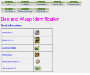 wildbee-id.com: Wild Honeybee Identification
Wild HoneyBee Identification