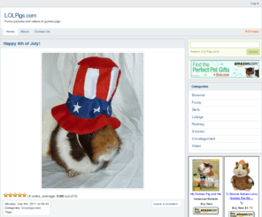 lolguineapigs.com: LOLPigs.com
Funny pictures and videos of guinea pigs