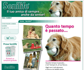 senilife.it: Innovet Senilife
Innovet