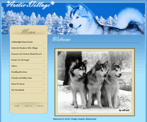 alaskanmalamutes.ro: :_: Arctic Village :_:
Alaskan Malamute Kennel Romania, Canisa Malamut de Alaska