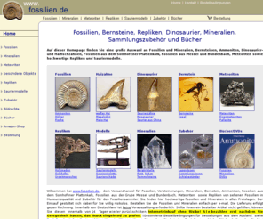 fossilien.de: Fossilien, Mineralien, Versteinerungen, Bernsteine, Ammoniten, Trilobiten, Meteoriten, Saurier und Repliken in großer Auswahl
Fossilien, Bernstein, Repliken, Dinosaurier, Mineralien, Meteoriten, Trommelsteine, Ammoniten, Trilobiten, Sauriermodelle und Sammlungszubehör zum Kaufen