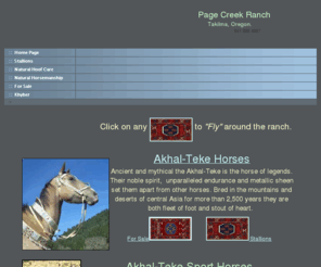 pagecreekranch.com: Akhal-teke
Horses, Golden, colored horse sales, Akhal-Teke, akhalteke, akhaltekke, sport horses, akhaltekina, turkman horse, turkoman horses, turkmenistan horse, central asia horses, natural horesmanship, breed crosses, horses for sale, natural hoof care, horse breeding, Page Creek Ranch, Takilma, Cave Junction, Oregon