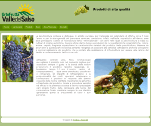 valledelsalso.com: Home
Azienda ortofrutticola leader nel settore nata nell'anno 2000 a Riesi prevale nella coltivazione di pesche e uva da mosto.