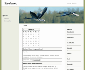 steefsweb.com: In aanbouw
