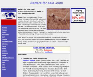 settersforsale.com: setters for sale, settersforsale, www.settersforsale.com
English setters for sale. A Global network directory of English 
setters for sale. English Setters, show, bench, hunting and field trial Setters