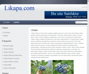 likapa.com: Likapa – Yaban Mersini – Blueberry – ligarba
