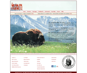 muskoxfarm.org: Front Page
Front Page, musk ox in field at Palmer Musk Ox Farm