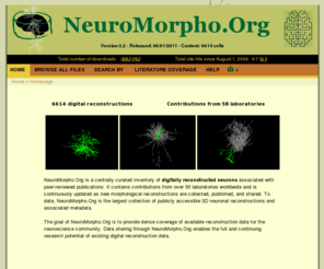 neuromorpho.org: index
Neuron Morphology