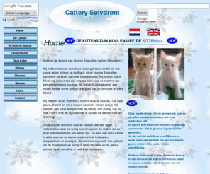 solvdrom.nl: Sølvdrøm - Home
Cattery Sølvdrøm - Wij zijn gespecialiseerd in Zilveren Noorse Boskatten