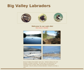 bigvalleykennel.com: Big Valley Labradors
Big Valley Labradors, breeders of labrador retrievers
