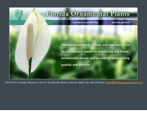 floridaornamentalplants.com: Florida Ornamental Plants
