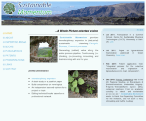 sustainable-momentum.net: Momentum
