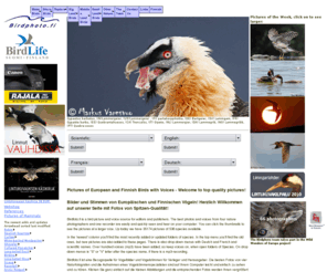 birdphoto.fi: Pictures and voices of European and Finnish Birds
Pictures of Birds