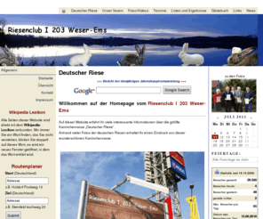 deutscheriesen.net: Deutscher Riese
Riesenclub I 203 Weser-Ems, Informationen über Deutsche Riesen, Rasse Deutscher Riese und vielen Fotos von den Riesenkaninchen