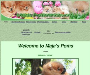 majas-poms.de: Wir ziehen um...
