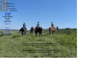 twhorse.com: TRINDER'S TENNESSEE WALKING HORSES
Cliff and Marsha Trinder (T W Ranch) own and operate a working cattle and horse ranch in Western Canada.  A family ranch, we have trained trail horses for sale at all times.