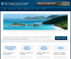 Forex hedging policy document