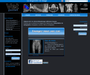 vetpixel.com: VetPixel :: Conseils et Avis radiologiques
