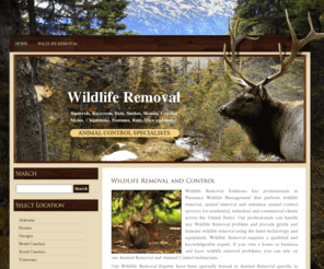 wildliferemovalsolutions.com: Wildlife Removal, Wildlife Control
Nationwide Wildlife Removal and Wildlife Control Professionals.  Qualified Experts in Wildlife Removal of Armadillos, Bats, Birds, Mice, Moles, Possums, Raccoons, Rats, Rodents, Skunks, Snakes, Squirrels and any wildlife from your property.