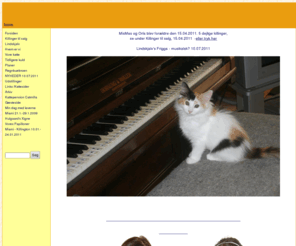 norskskovkat.com: Lindskjalv Norske Skovkatte
Opdræt af sunde, racetypiske Norske Skovkatte. Vi kan også tilbyde ophold i vores hyggelige kattepension