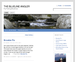 bluelineangler.com: The Blueline Angler
Dedicated to fly fishing the bluelines where ever they are found.