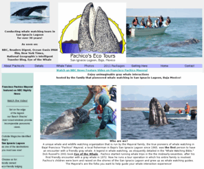 pachicosecotours.com: Pachicos Eco Tours Gray Whale Watching Packages in San Ignacio Lagoon 
Baja Mexico
The original gray whale watching operation in San Ignacio Lagoon, Baja California Mexico, expert guided Gray Whale Watching Trips in La Laguna