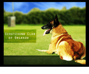 schutzhundcluboforlando.org: Schutzhund Club of Orlando
Schutzhund