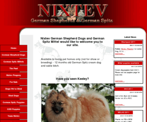 nixtev.co.uk: Nixtev German Shepherd Dogs & German Spitz Mittel - UK breeder of quality german shepherd dog and german spitz mittel puppies.
Nixtev German Shepherds and German Spitz Mittel. Uk hobby breeder of German Shepherd Dog and German Spitz Mittel puppies, breeding happy, healthy pets. Puppies sometimes for sale to approved homes. The home of Mittel breed record holder Champion Runfold China Crisis at Nixtev and her daughter Ch Nixtev Fyrefly JW.