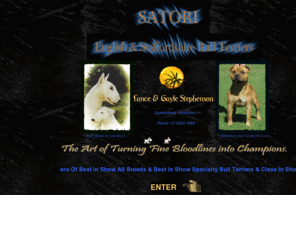 satori-bullterriers.com: SATORI BULL TERRIERS
