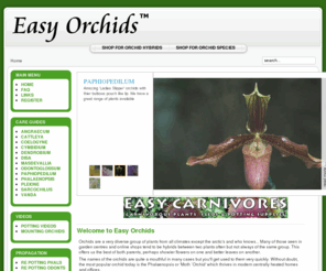 goldenguide.co.uk: Welcome to Easy Orchids
Buying Orchids and growing orchids - the home of orchid growing for Phalaenopsis, Cattleya, Vanda, Dendrobium and more