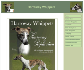 harrowaywhippets.com: Harroway  Whippets
Harroway Whippets of Perth, Western Australia, occasional breeder and all breeds judge