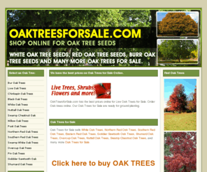 oaktreesforsale.com: OAK TREES FOR SALE | OakTreesforSale.com
Find Oak Trees for Sale. Buy Red Oak Trees online at OakTreesForSale. Many varieties of Oak Trees for Sale include Red Oak, White Oak, Sawtooth Oak, Post Oak, Bur Oak, Swamp Oak and over two dozen more Oak trees. We ship Oak Trees.