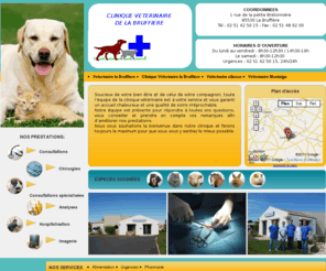 veterinaire-bruffiere.com: Clinique Vétérinaire Bruffière
Clinique vétérinaire de la Bruffière, située en vendée, propose castrations chats, chirurgie chien et chats, hospitalisation vétérinaire.