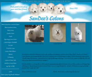 cotondetulearpuppiesbreeder.com: Coton de Tulear Puppies For Sale by a Coton de Tulear Breeder | Dedicated to Breeding Your Next Best Friend!
<meta name=