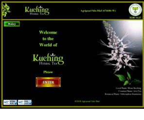 mykucingtea.com: Discover the natural simple way to good health
This site explains the many functional effects of Misai Kuching on human health, especially with high blood pressure, urinary problems, kidney stones, gout, diabetes, etc. Scientific details are also presented.