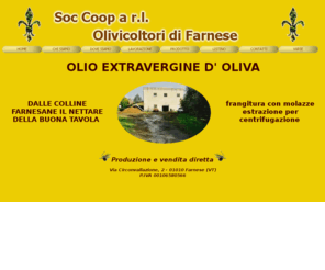 coopolivicoltorifarnese.com: Olio extravergine d' oliva
Vendita olio extravergine on line, frangitura con molazze estrazione per centrifugazione, dalle colline farnesane il nettare della buona tavola.