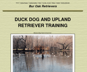 buroakretrievers.com: Bur Oak Retrievers
Duck dog and retriever training