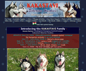 kakastavihusky.com: Kakastavi Siberian Huskies, Hungary
Small Siberian Husky kennel, located in Budapest, Hungary. Puppies are available occasionally. Lots of husky photos, video clips and wallpapers!