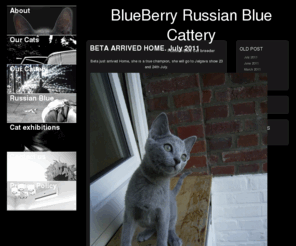 russiancattery.com: Russian Cattery (Gatos Azul Russo, Cats Blue Russian, pусская голубая кошка, русский голубой кот)
Gato Azul Russo Criador, Russian Blue Cat Breeder, разводчик  pусских голубых кошек