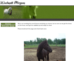 wachusettmorgans.com: Welcome to Wachusett Morgans
  