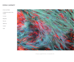 erincarney.net: ERIN CARNEY
Erin Carney is a New York based painter. This is her website. 