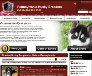 pennsylvaniahuskybreeders.com: Pennsylvania Husky Breeders.com
Pennsylvania Husky Breeders.com is a collection of caring Siberian Husky breeders and dog lovers devoted to breeding the finest Siberian Husky puppies possible.