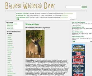 biggestwhitetaildeer.com: Biggest Whitetail Deer
The #1 source of whitetail deer information, pictures, facts, state records, games, tips and strategies for scouting and hunting the elusive whitetail deer.