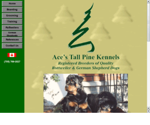 aceskennels.com: ACES TALL PINE KENNELS
None