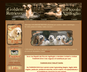 piccoloagrifoglio.com: Golden Piccolo Agrifoglio
I Golden Retriever del Piccolo Agrifoglio. I nostri Golden sono selezionati per carattere, salute e morfologia. Siamo a Sardigliano (Alessandria - Italy). Info per cucciolate